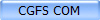 CGFS COM